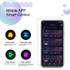 Automatic Pussy and Ass Masturbator with 8 Suction & Vibration Modes